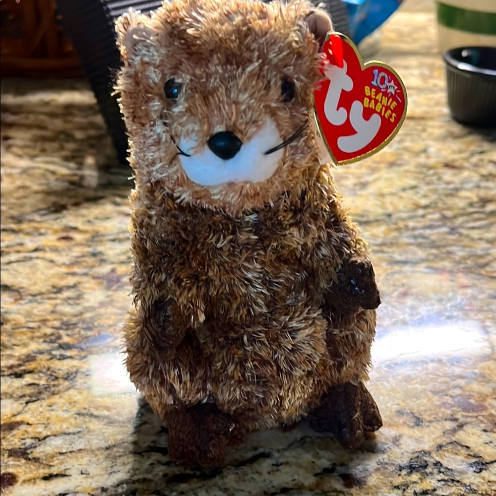 Ty Brown Beanie Baby Punxsutawn-e Phil has all the tags!